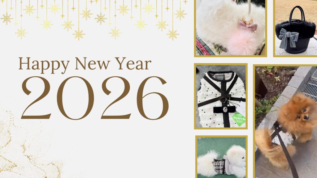 LesFilles 東京都文京区リボンレッスンJRDA/JourFin 新年のご挨拶