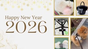 LesFilles 東京都文京区リボンレッスンJRDA/JourFin 新年のご挨拶