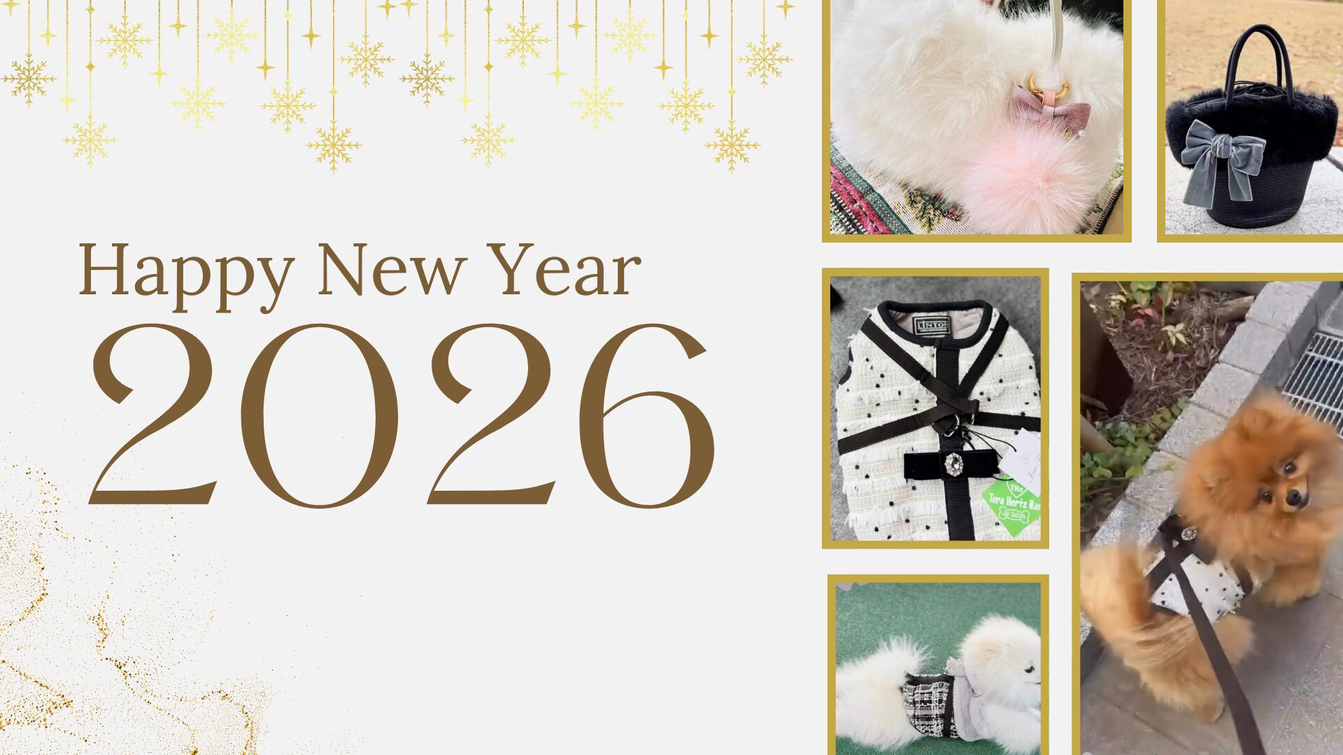 LesFilles 東京都文京区リボンレッスンJRDA/JourFin 新年のご挨拶